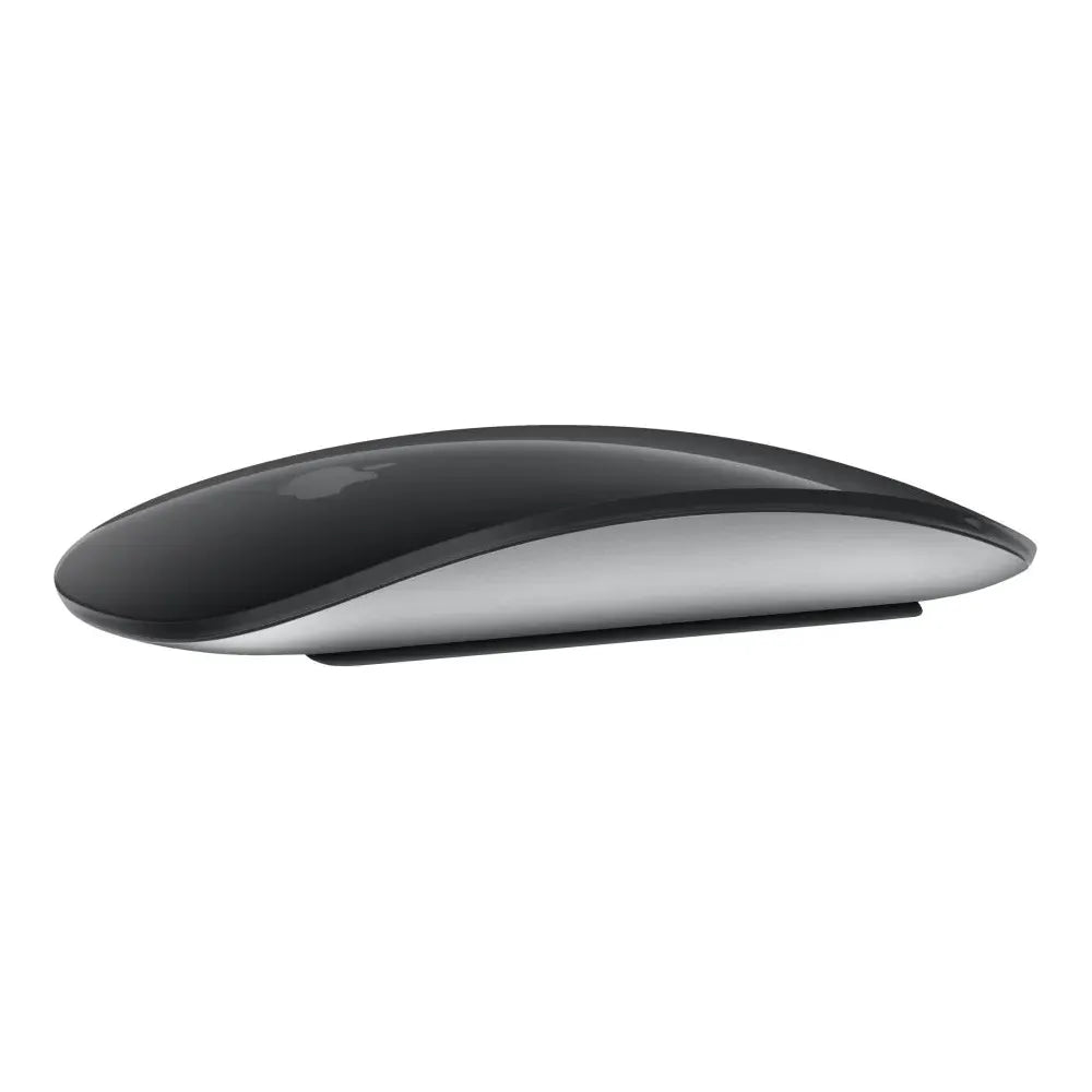 Apple Magic Mouse 2 (sort)